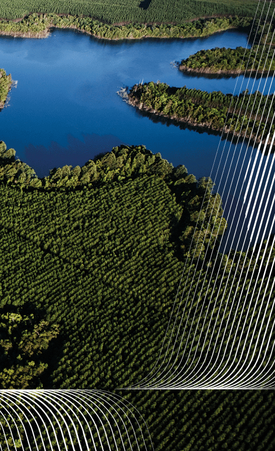 Suzano Ventures - Transformação para a bioeconomia